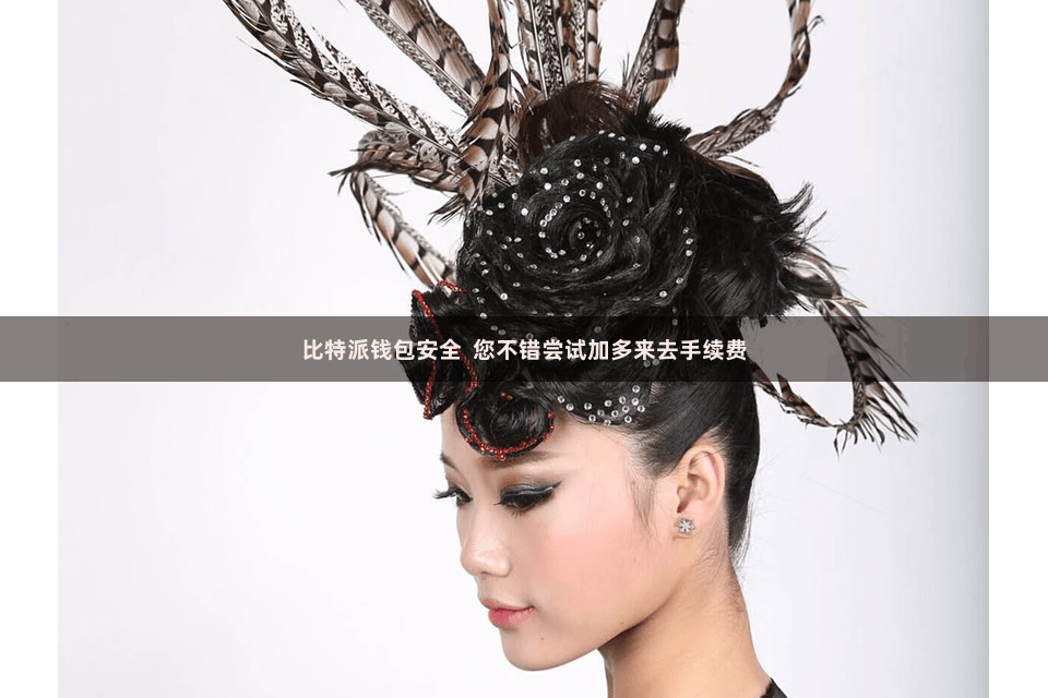 比特派钱包安全  您不错尝试加多来去手续费